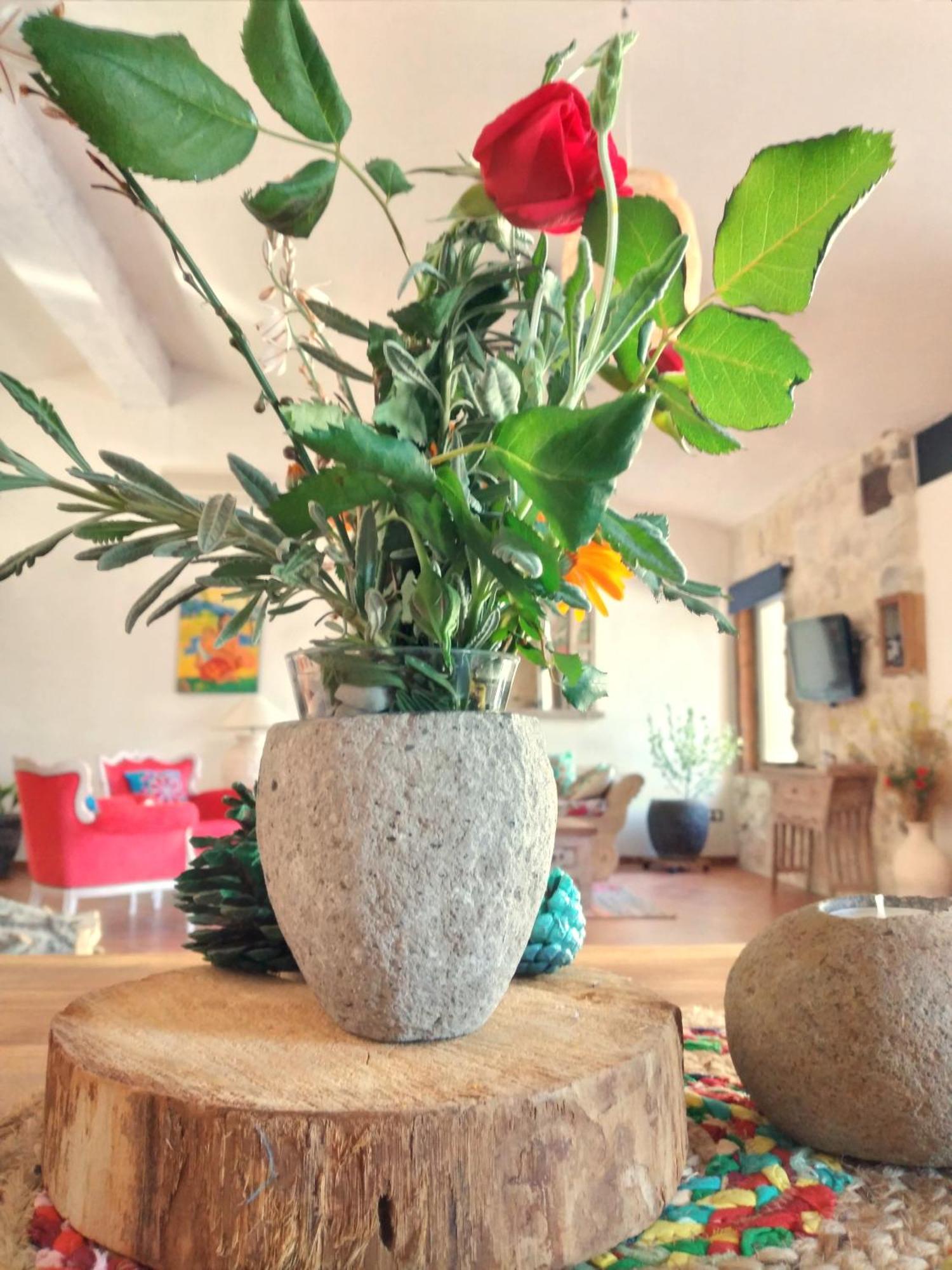 Hébergement de vacances Loft Carriones *